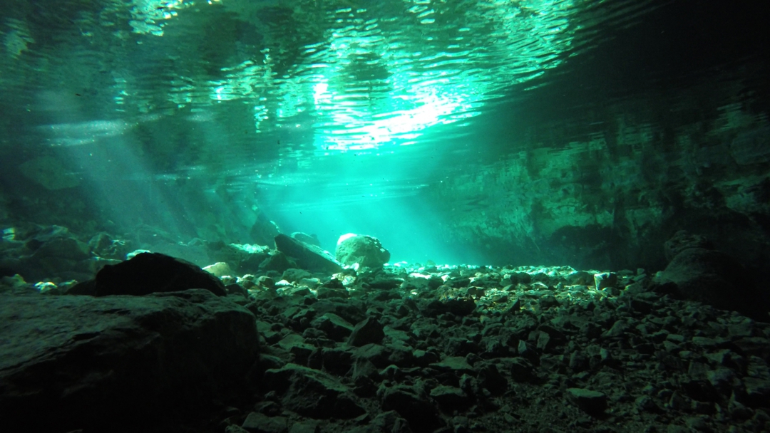cenote dzombakal 4