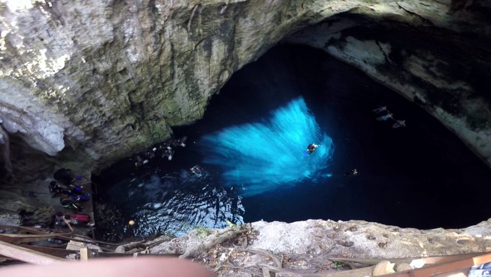 Cenote Nayah | Yucatán Dive Center