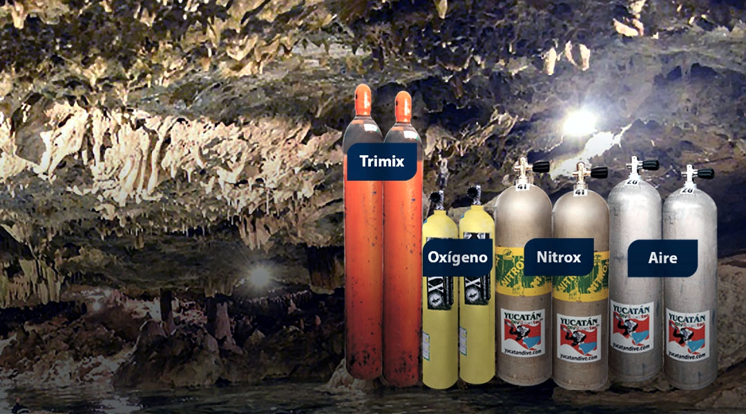 gases 2
